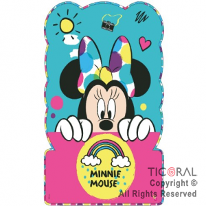 MINNIE PI�ATA CARTON x 1